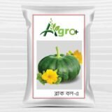 মিস্টিকুমড়ার বীজ