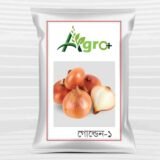 পেয়াজের বীজ