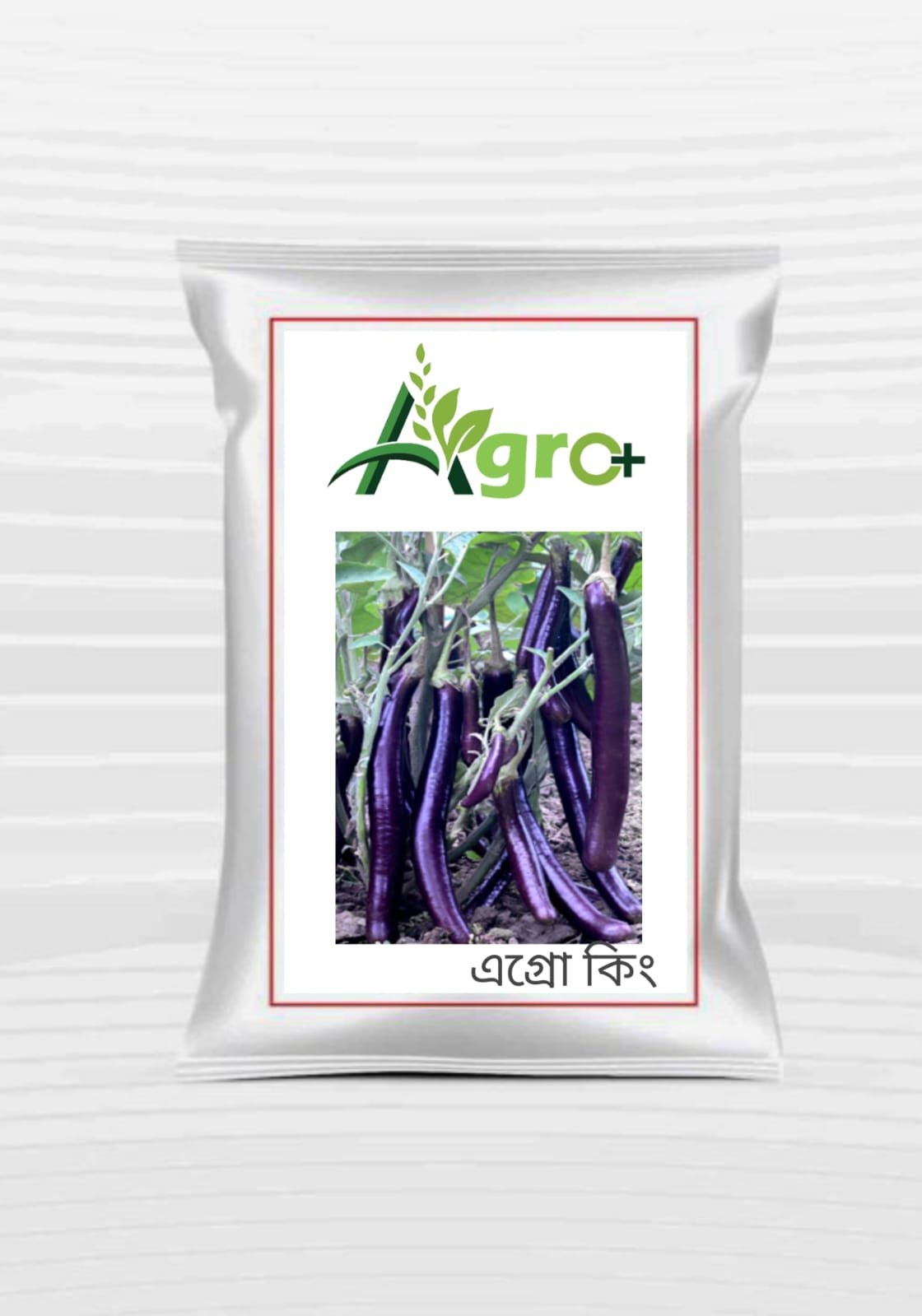 বেগুনের বীজ