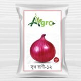 পেয়াজের বীজ
